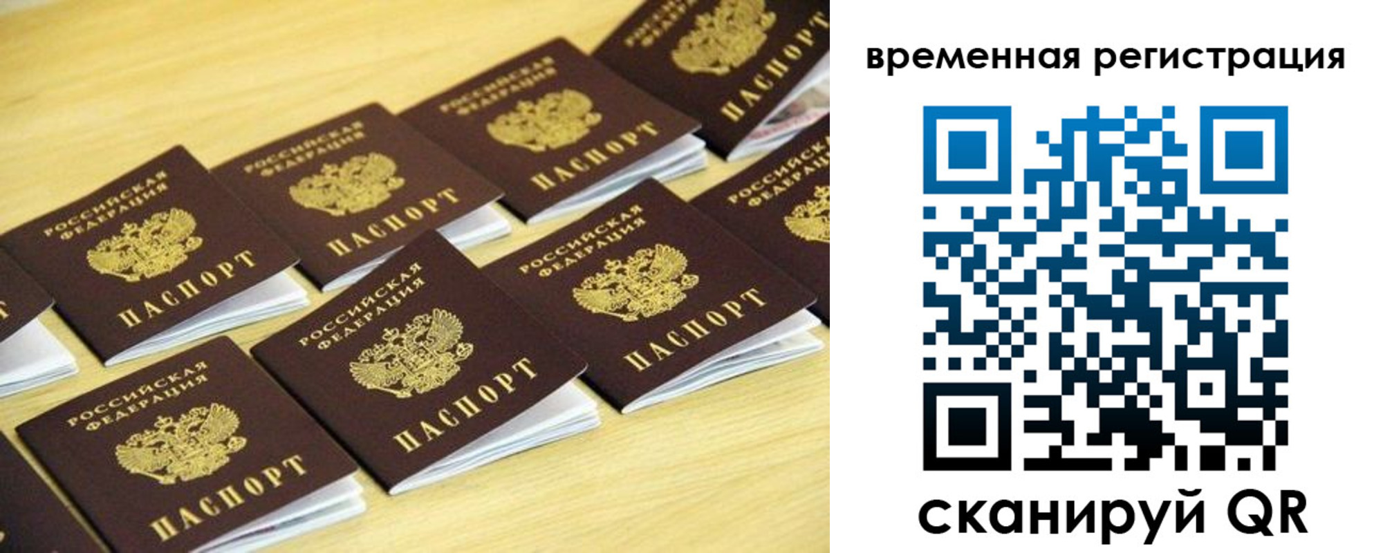 временная прописка в Дубовке